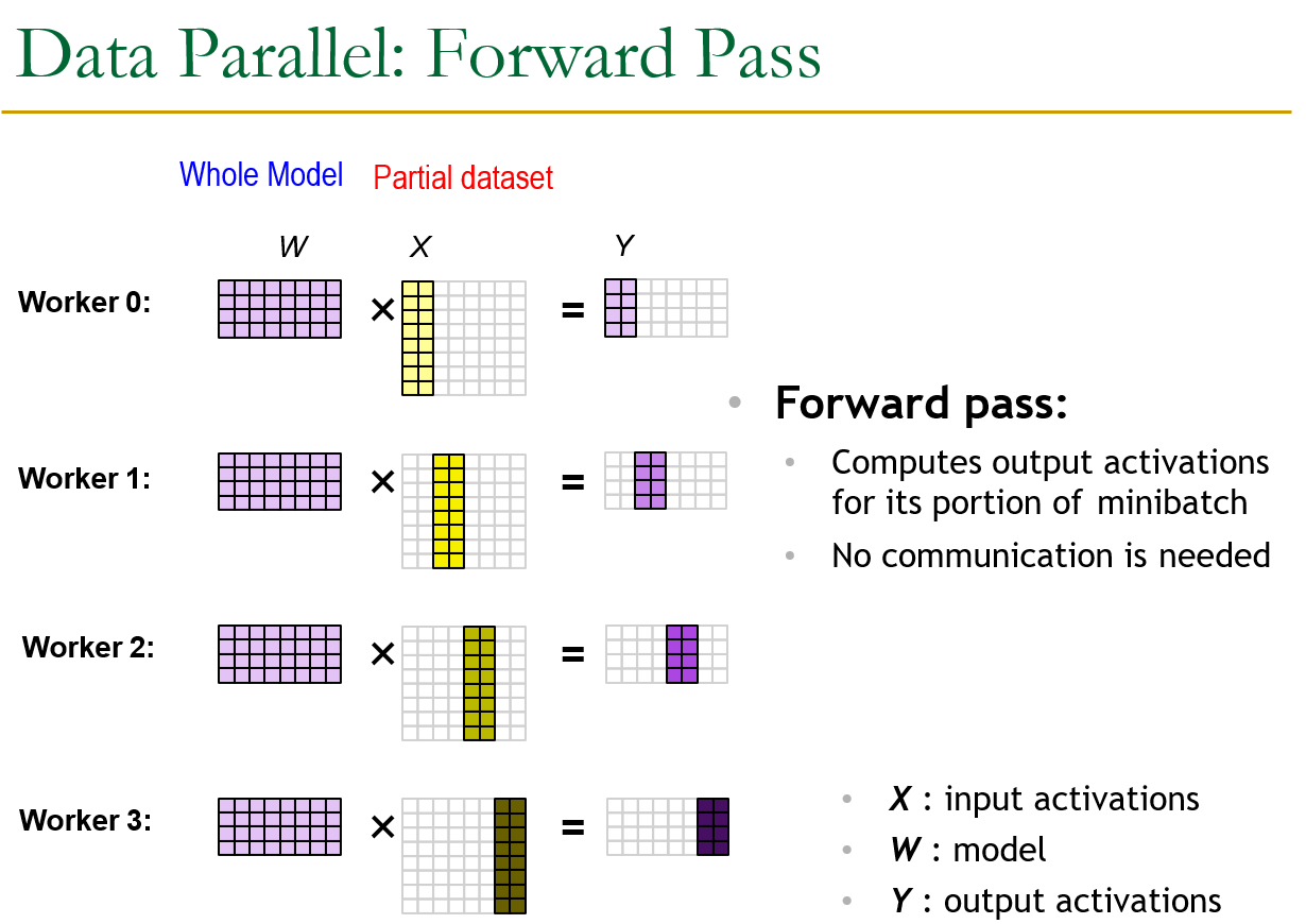 Data Parallelism Forward Pass
