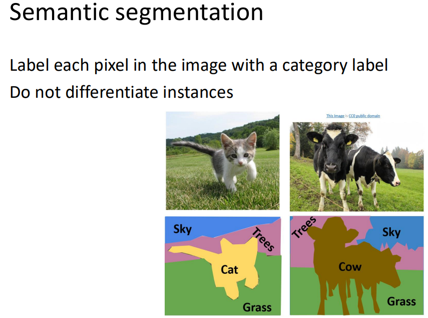 semantic segmentation